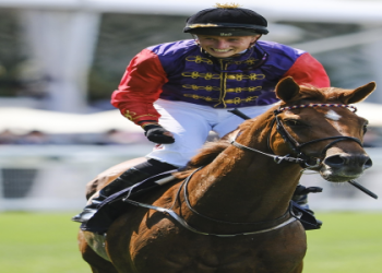 10 Expert Secrets About Sports Beginning With N: Your Ultimate Guide to Niche Athletics