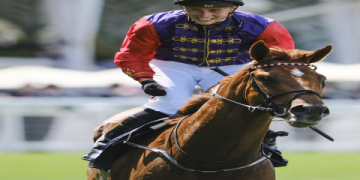 10 Expert Secrets About Sports Beginning With N: Your Ultimate Guide to Niche Athletics