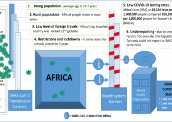 7 Expert Insights on Indian Mortality Rate You Must Know: Causes, Trends, and Action Plan