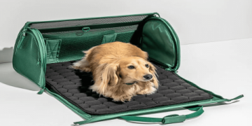 10 Expert Secrets for Choosing Pet Luxury Accessories That Make a Real Difference