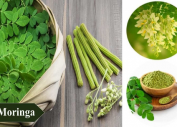 10 Expert-Approved Luxury Crops Examples: The Ultimate Guide for Profitable Farming