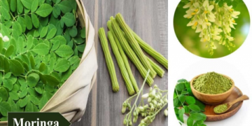 10 Expert-Approved Luxury Crops Examples: The Ultimate Guide for Profitable Farming