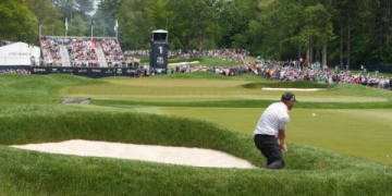 The Ultimate Guide to Cuban Sports Programs: How They Work and Why They Excel