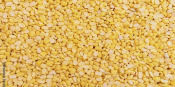 The Ultimate Guide to Green Gram Moong Dal: Benefits, Uses, and 5 Amazing Recipes