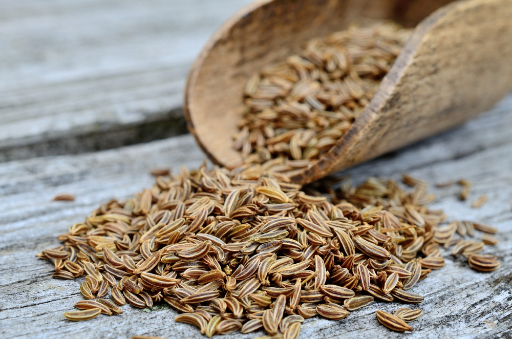 Caraway Seeds in Urdu: The Ultimate Guide to Meaning, Uses, and Benefits