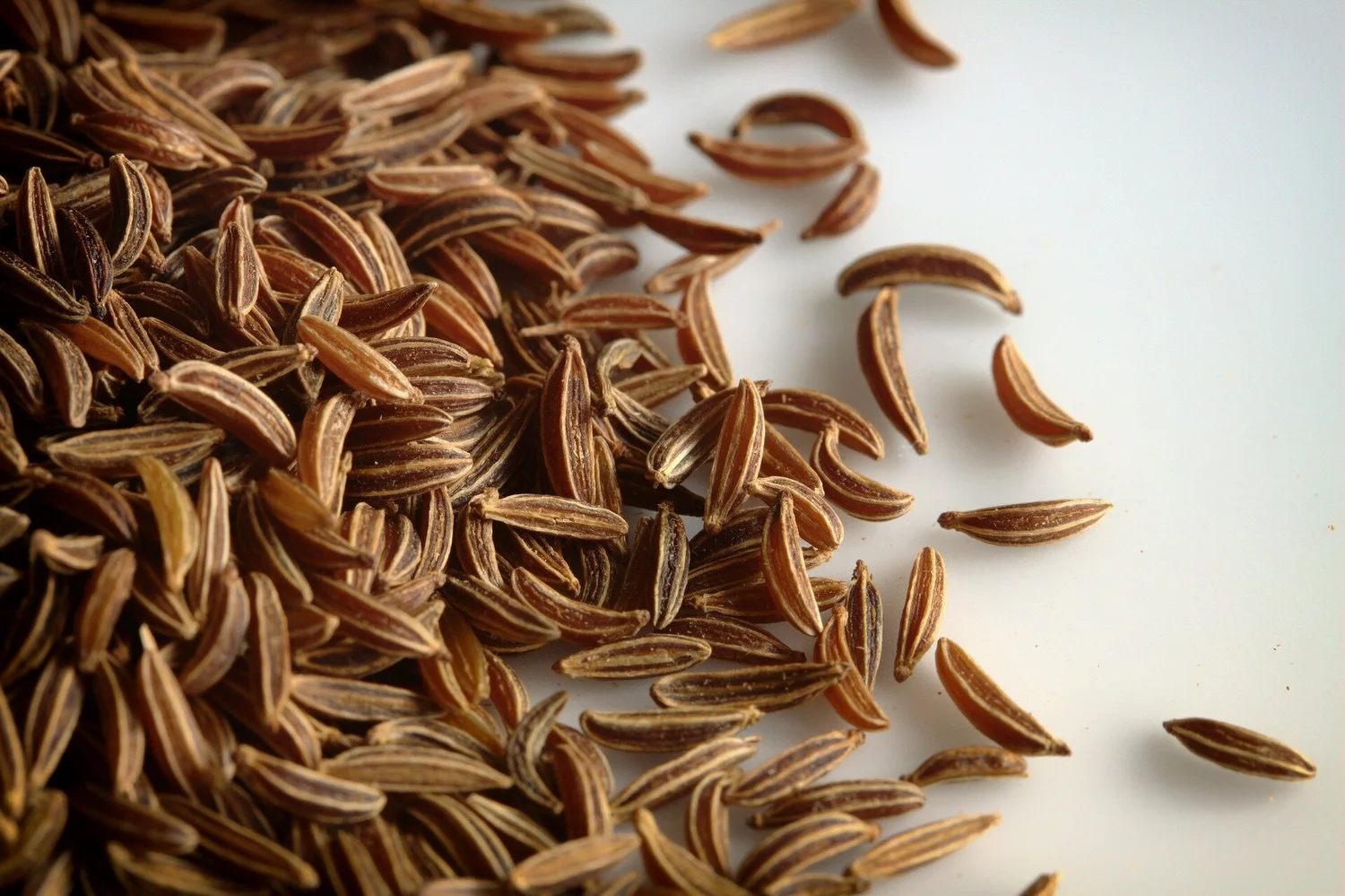 The Ultimate Guide to the Indian Name for Caraway Seeds: Unlocking Flavor and Clarity