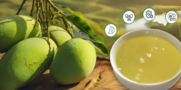 The Ultimate Guide to Alphonso Mango Pulp: Benefits, Uses, and Buying Secrets