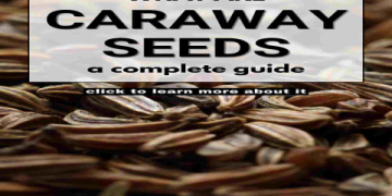 The Ultimate Guide to Caraway Seeds vs Ajwain: Differences, Uses, and Health Benefits