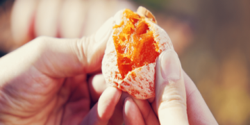 The Ultimate Guide to Buying and Enjoying Dry Fruits in Japan: A 2024 Expert Breakdown