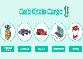 The Ultimate Guide to Cold Chain Technology Services What You Need to Know