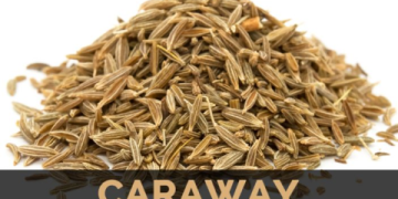 Caraway Seeds in Urdu: The Ultimate Guide to Meaning, Uses, and Benefits