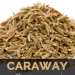Caraway Seeds in Urdu: The Ultimate Guide to Meaning, Uses, and Benefits