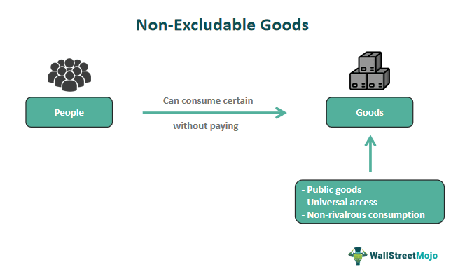 The Ultimate Guide to the Non Excludable Goods Definition in Economics: 5 Key Insights