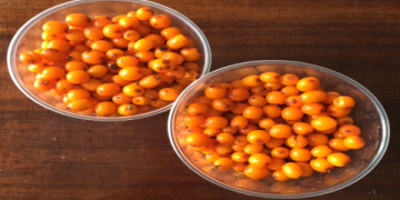 The Ultimate Guide to Fruits from Russia: 10 Surprising Berries and Hardy Crops You Need to Know