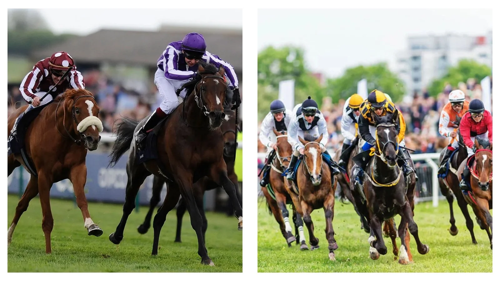 The Ultimate Guide to Derby Sport: 5 Expert Strategies for Success