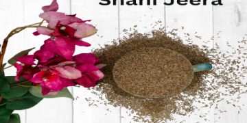 Caraway Seeds Indian Name: The Ultimate Guide to Shahi Jeera and Its Culinary Secrets