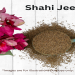 Caraway Seeds Indian Name: The Ultimate Guide to Shahi Jeera and Its Culinary Secrets