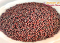 What Is Sarso In English? The Ultimate Guide To Mustard Seeds