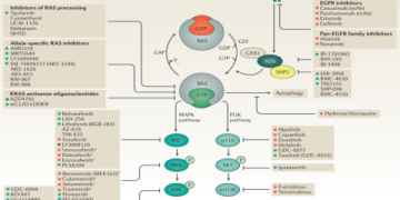 The Ultimate Guide for Mirati Therapeutics Employees: Career Growth, Culture, and Your Future