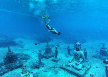 The Ultimate List of Sports That Start With N Your Complete Guide