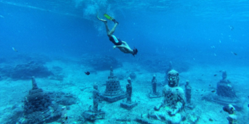 The Ultimate List of Sports That Start With N Your Complete Guide