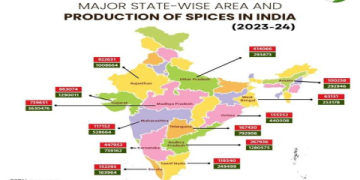 India Spice Exports 2022: An Expert Analysis of the IBEF Report and Market Dynamics