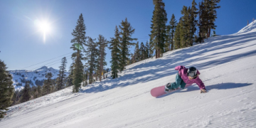 The Ultimate Guide to Bumper Sport: 5 Expert Tips for Choosing Your Perfect Protective Gear