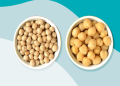 The Ultimate Guide to Chickpeas (Kabuli Chana): Nutrition, Cooking, and 5 Amazing Benefits