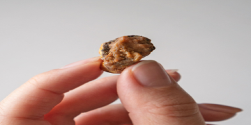 The Ultimate Guide to Buying Asafoetida Powder Online: Quality, Safety, and Savings