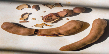 The Ultimate Guide to Tamicon Tamarind Paste: Uses, Benefits, and Expert Tips