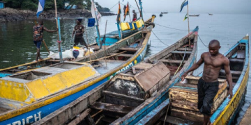 The Ultimate Guide to Land in Sierra Leone: Investment, Process, and Pitfalls