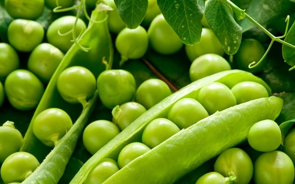 The Ultimate Guide to Green Peas in Japan: Cultivation, Cuisine, and Cultural Significance