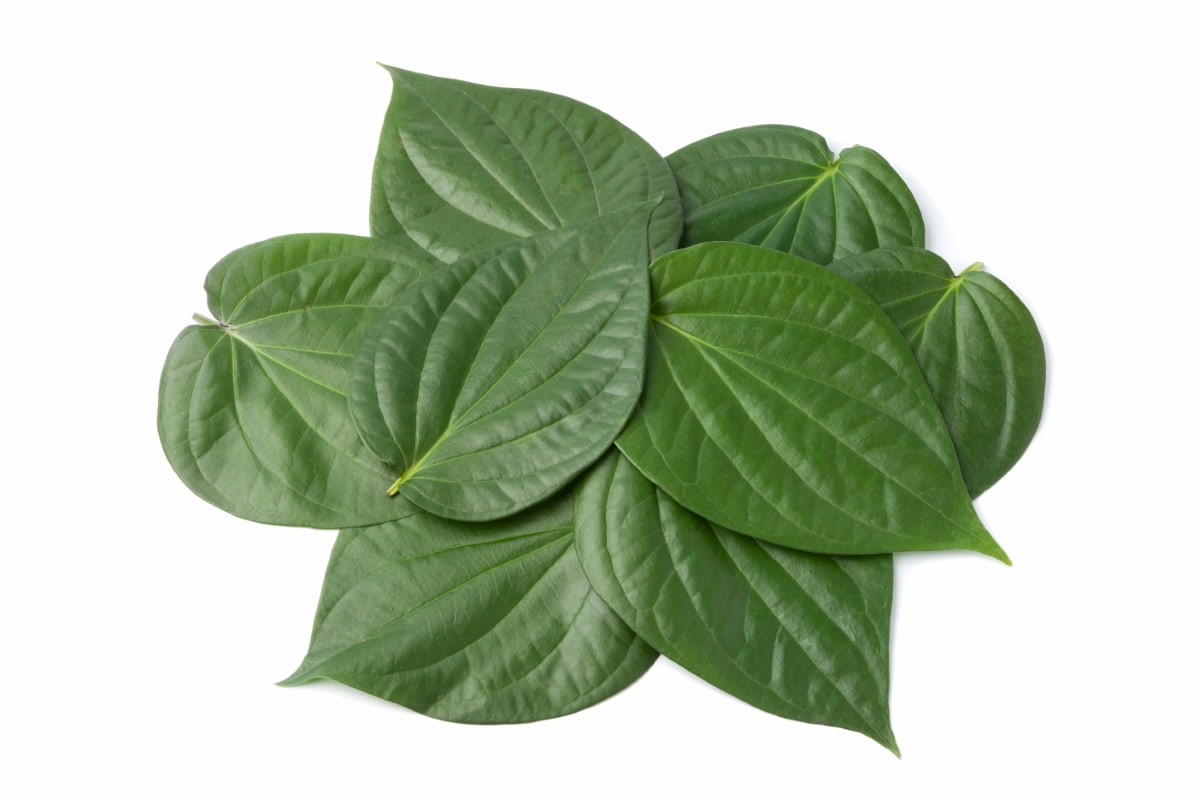 The Ultimate Guide to Finding Fresh Betel Leaves Near Me: 7 Proven Methods