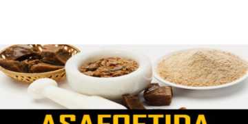Hing Powder in English: The Ultimate Guide to Asafoetida, Its Uses, and Where to Buy