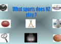 The Ultimate Guide to New Zealand’s Most Popular Sport: A Deep Dive into Rugby and Its Rivals