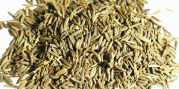 Caraway Seeds in Hindi: The Ultimate Guide to Meaning, Uses, and Benefits