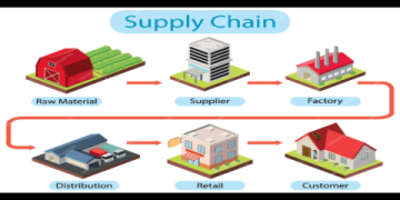 The Ultimate Guide to Traceability Supply Chain: 5 Steps to Build a Transparent Future