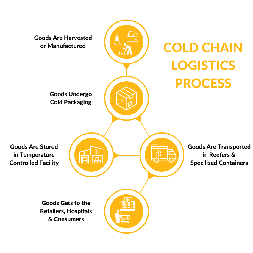 The Ultimate Guide to Cold Chain and Logistics: 5 Critical Components for Success